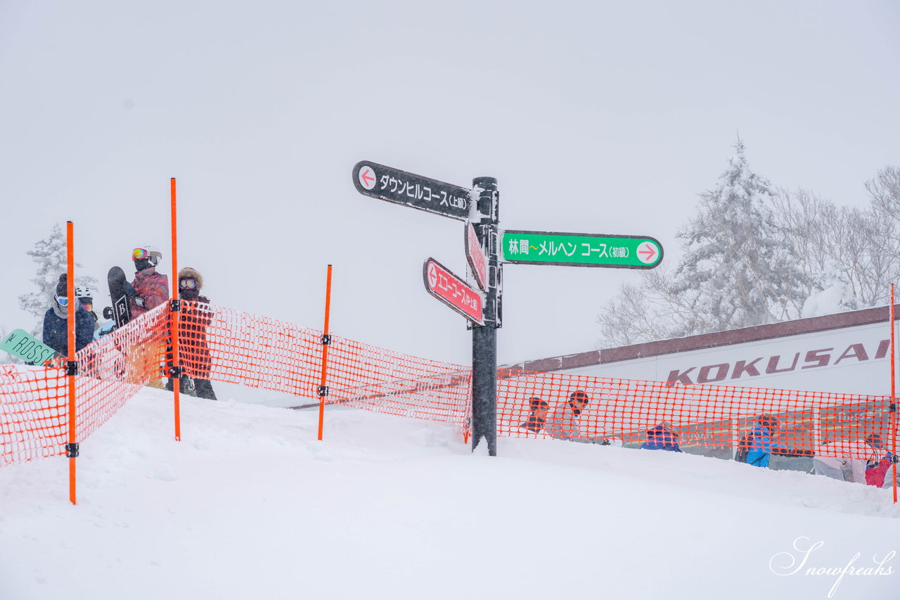 札幌国際スキー場　街は雨でも、山は雪！広々ゲレンデに思う存分シュプールを描こう(^^)/